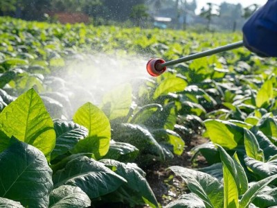 2025年哈尔滨种业博览会暨哈尔滨植保交流暨农药肥料交易会/东北现代农业设施设备展