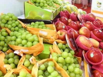 2025中国(上海)国际果蔬展览会